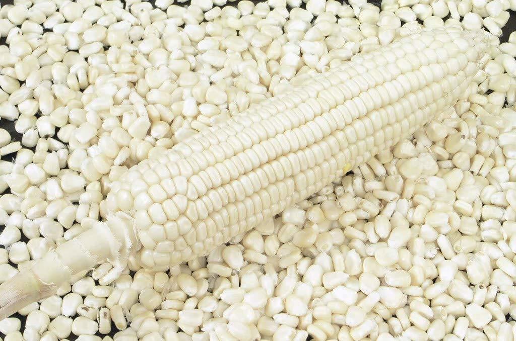 White Corn - Non-gmo Grain | High Nutritional Value, Perfect For Cooking And Baking