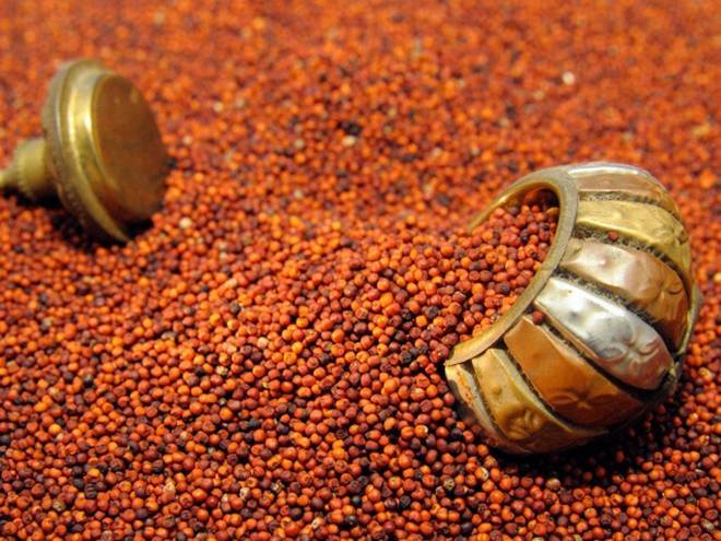 Ragi Seeds - Organic Whole Grains, Rich In Nutrients And Fiber, Ideal For Health-conscious Diets