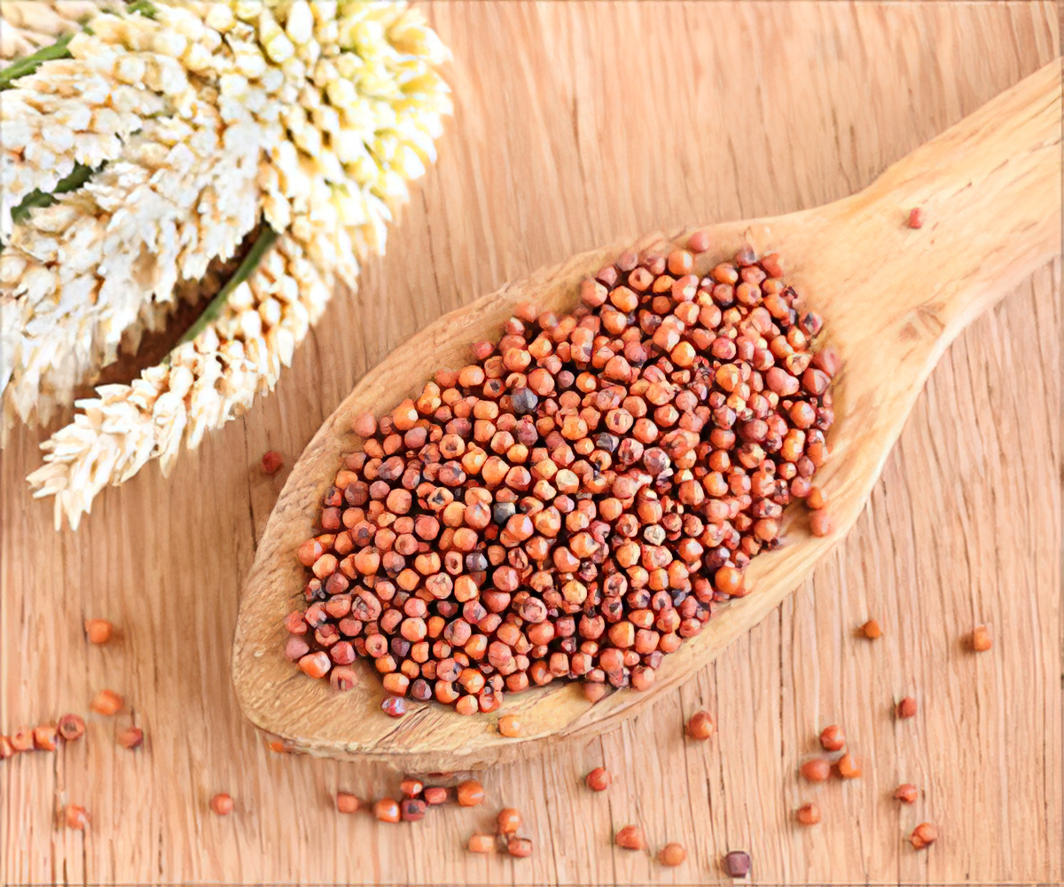 Ragi Seeds - Organic Whole Grains, Rich In Nutrients And Fiber, Ideal For Health-conscious Diets