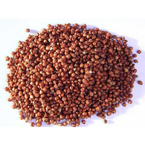Red Sorghum - Whole Grain, Gluten-free | High Nutritional Value, Rich In Fiber And Antioxidants