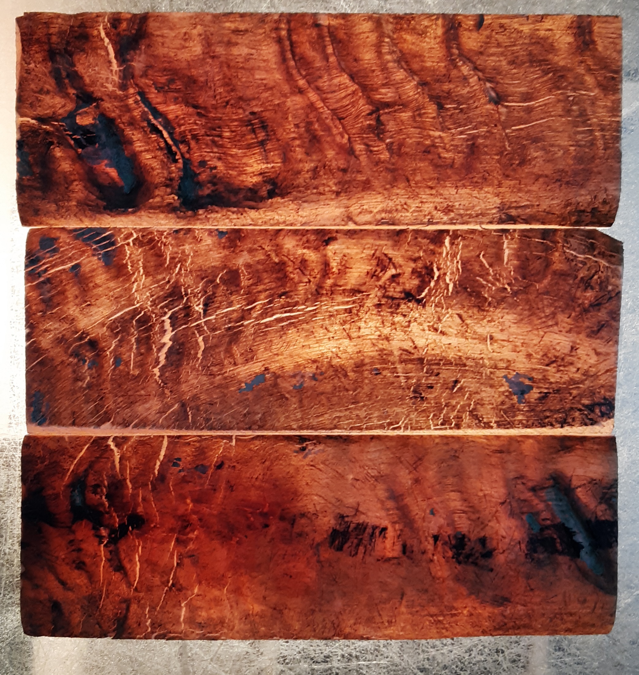 Natural Horn Scale Color