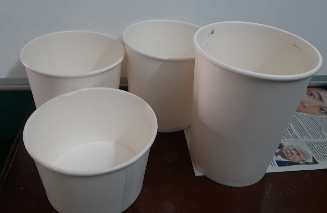 Paper Food Containers