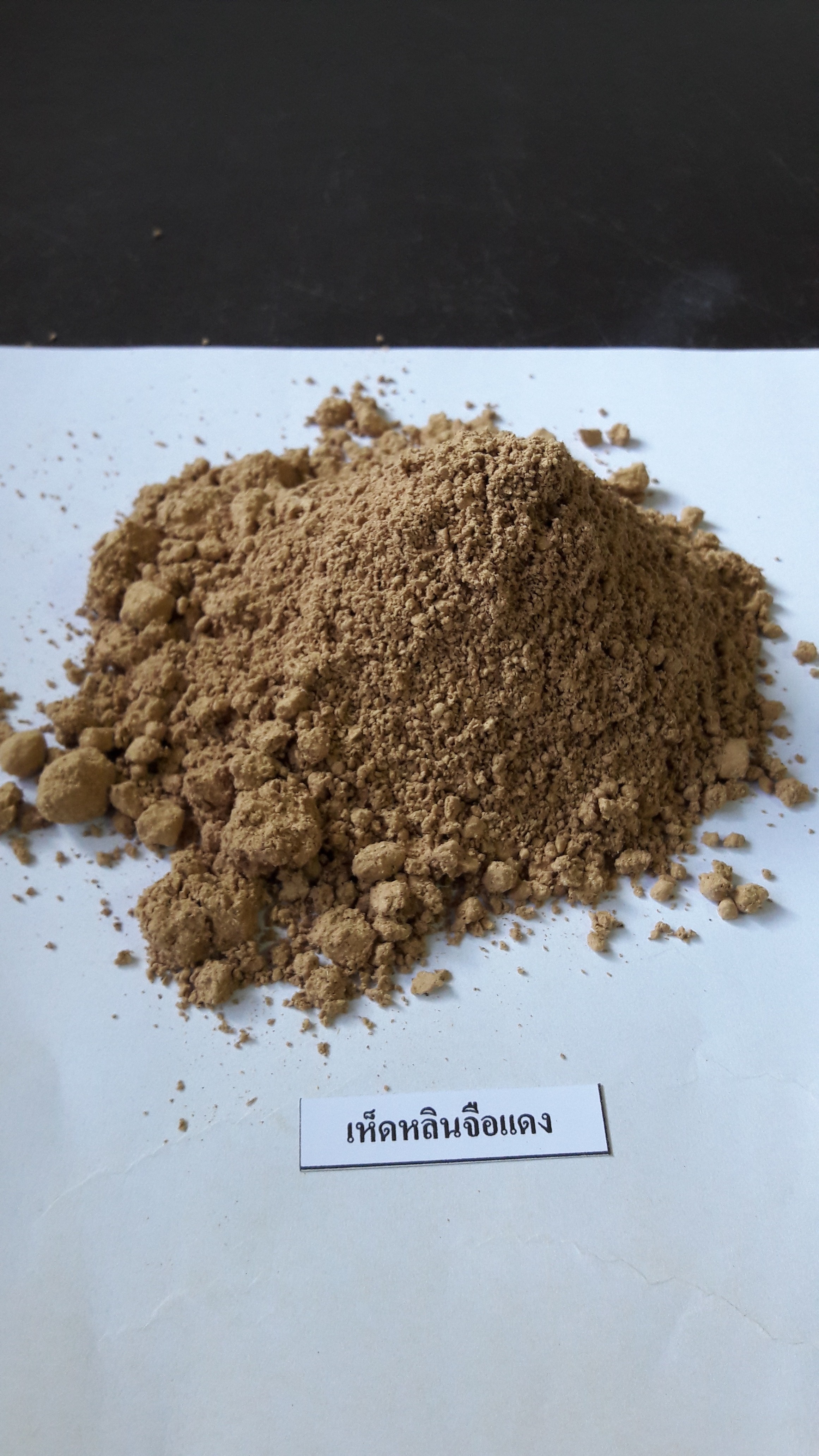 Natural Extract Lingzhi Mushroom Powder Dry Place