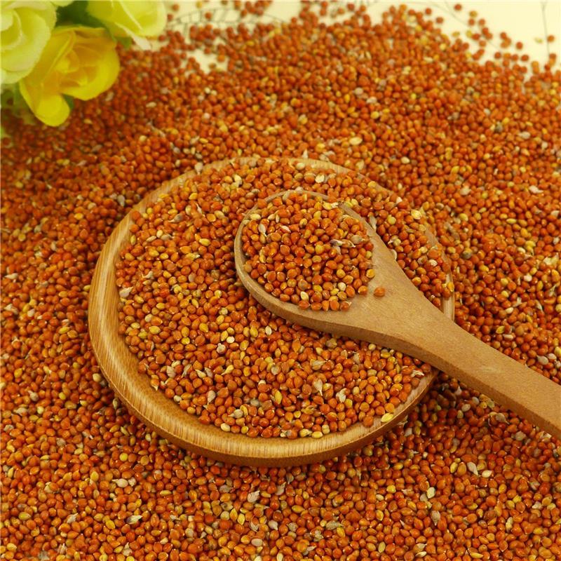 Red Bajra