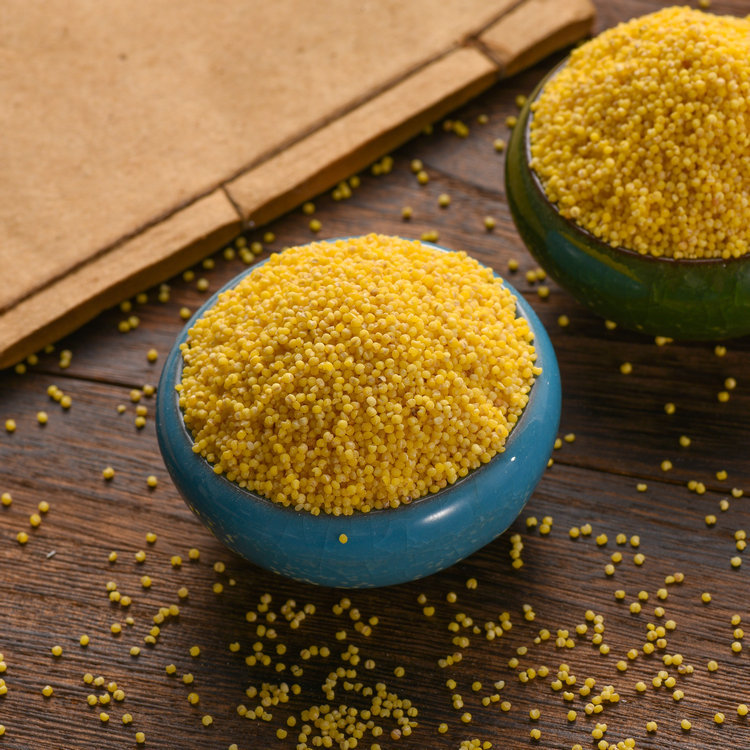 Yellow Bajra
