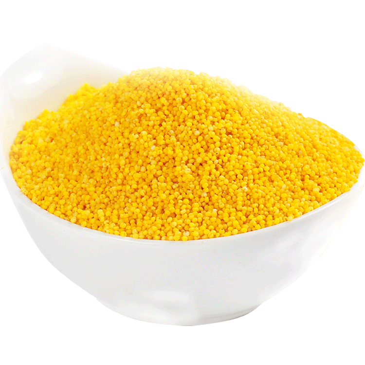 Yellow Bajra