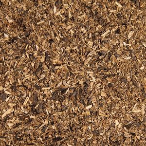 Castor Seed Meal By Cms Industries