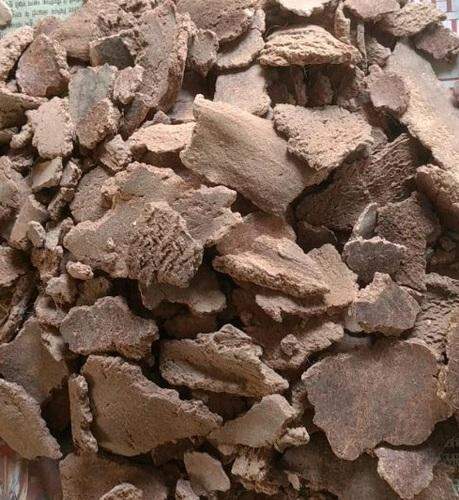 Castor Seed Meal By Cms Industries