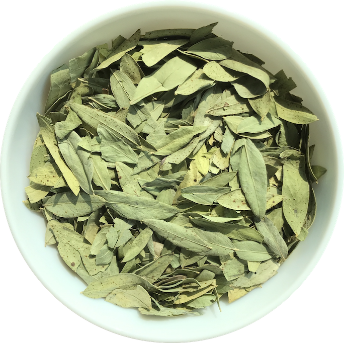 Senna Leaves - Dried Leaves, Green Color, 5-8% Moisture Content, 99% Min Purity, 2.5-3% Sennosides, Plant Based | Bulk Packaging For Pharmaceutical Use
