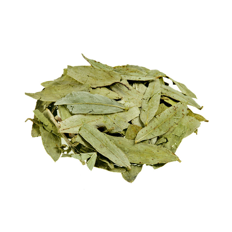 Senna Leaves - Dried Leaves, Green Color, 5-8% Moisture Content, 99% Min Purity, 2.5-3% Sennosides, Plant Based | Bulk Packaging For Pharmaceutical Use