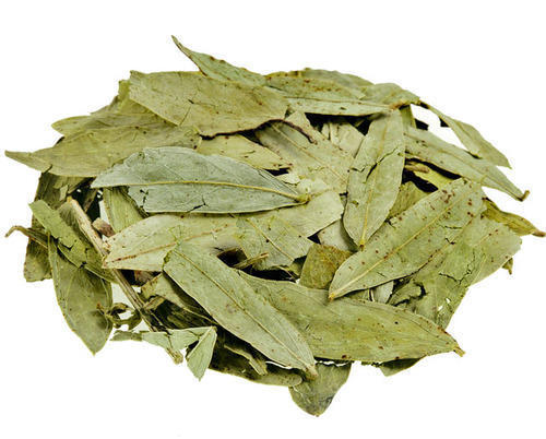 Senna Leaves - Dried Leaves, Green Color, 5-8% Moisture Content, 99% Min Purity, 2.5-3% Sennosides, Plant Based | Bulk Packaging For Pharmaceutical Use