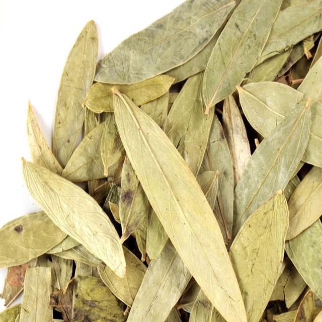 Senna Leaves - Dried Leaves, Green Color, 5-8% Moisture Content, 99% Min Purity, 2.5-3% Sennosides, Plant Based | Bulk Packaging For Pharmaceutical Use