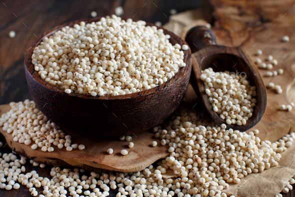 Snow-white Sorghum