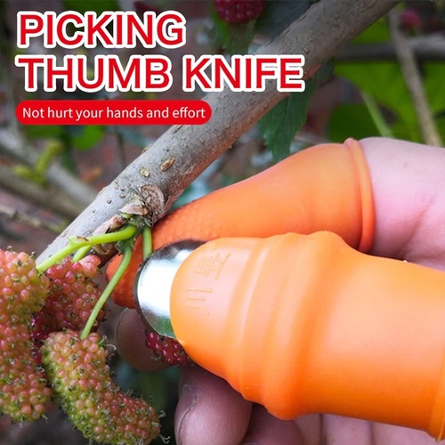 Silicone Thumb Knife Blade - Silicone & Stainless Steel, 3x2.5x2 Cm Dimensions | Perfect for Kitchen Use, Includes 2 Pieces in Random Shade