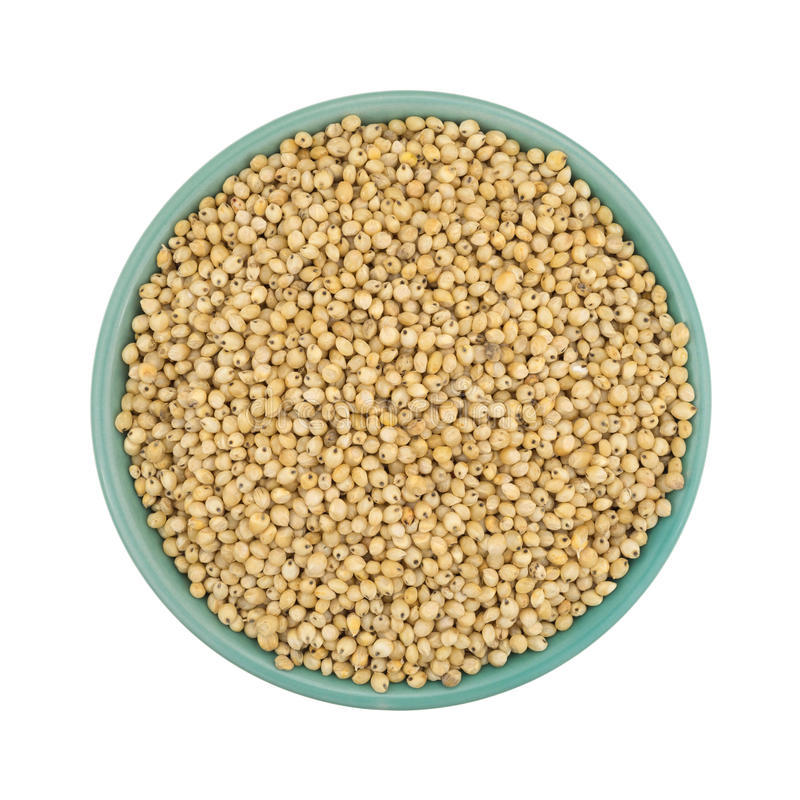 Yellow Sorghum - Premium Quality Jowar Grains, Gluten-free, Rich In Vitamins & Minerals, Ideal For Human Consumption And Animal Feed