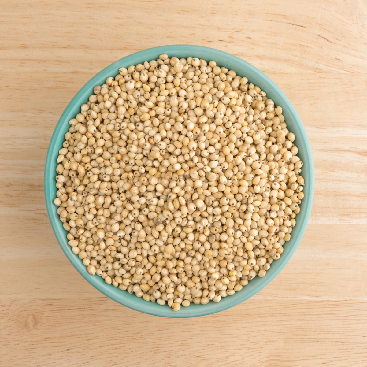 Ch 5 Sorghum