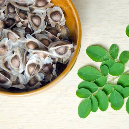 Moringa Seeds - Brown, 2-5 mm Size Range | Culinary, Medicinal, and Nutritional Supplement, High Purity Over 98%, Low Moisture Content Under 10%
