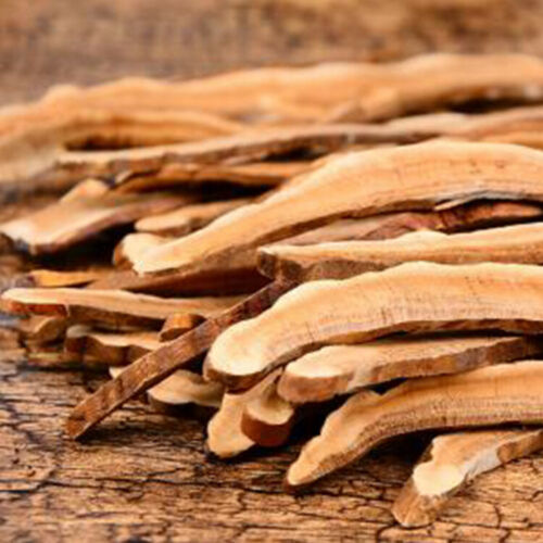 Reishi Lingzhi Ganoderma Lucidum Mushrooms Dried Slice Thai Herb Tea