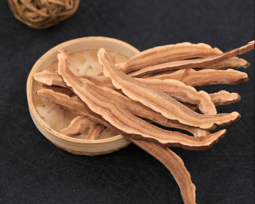 Reishi Lingzhi Ganoderma Lucidum Mushrooms Dried Slice Thai Herb Tea