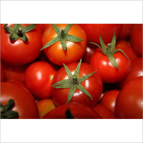 Fresh Red Tomato - Organic Produce, Natural Shape, Rich In Lycopene, Vitamin C, Folate, And Potassium