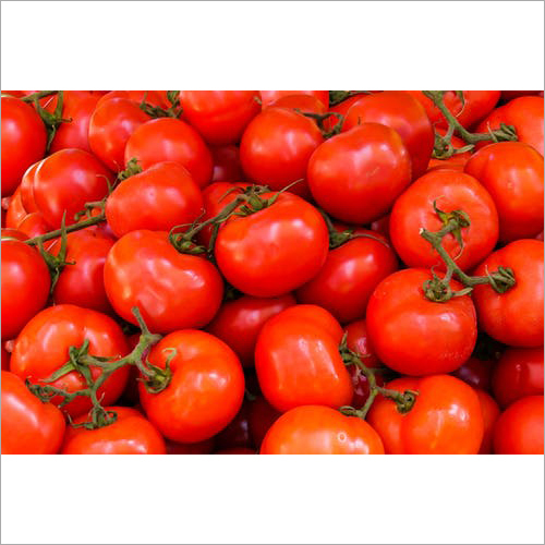 Fresh Red Tomato - Organic Produce, Natural Shape, Rich In Lycopene, Vitamin C, Folate, And Potassium
