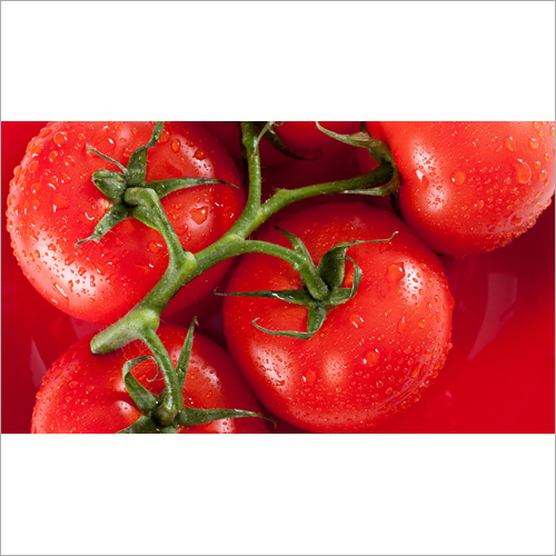 Fresh Red Tomato - Organic Produce, Natural Shape, Rich In Lycopene, Vitamin C, Folate, And Potassium