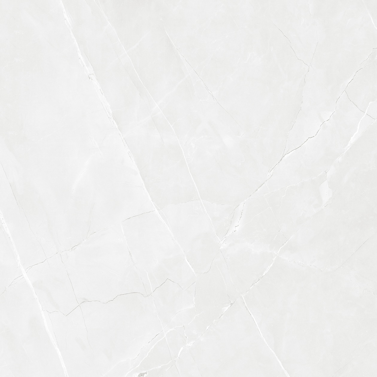 Multi Glazed Vitrified Floor Tiles