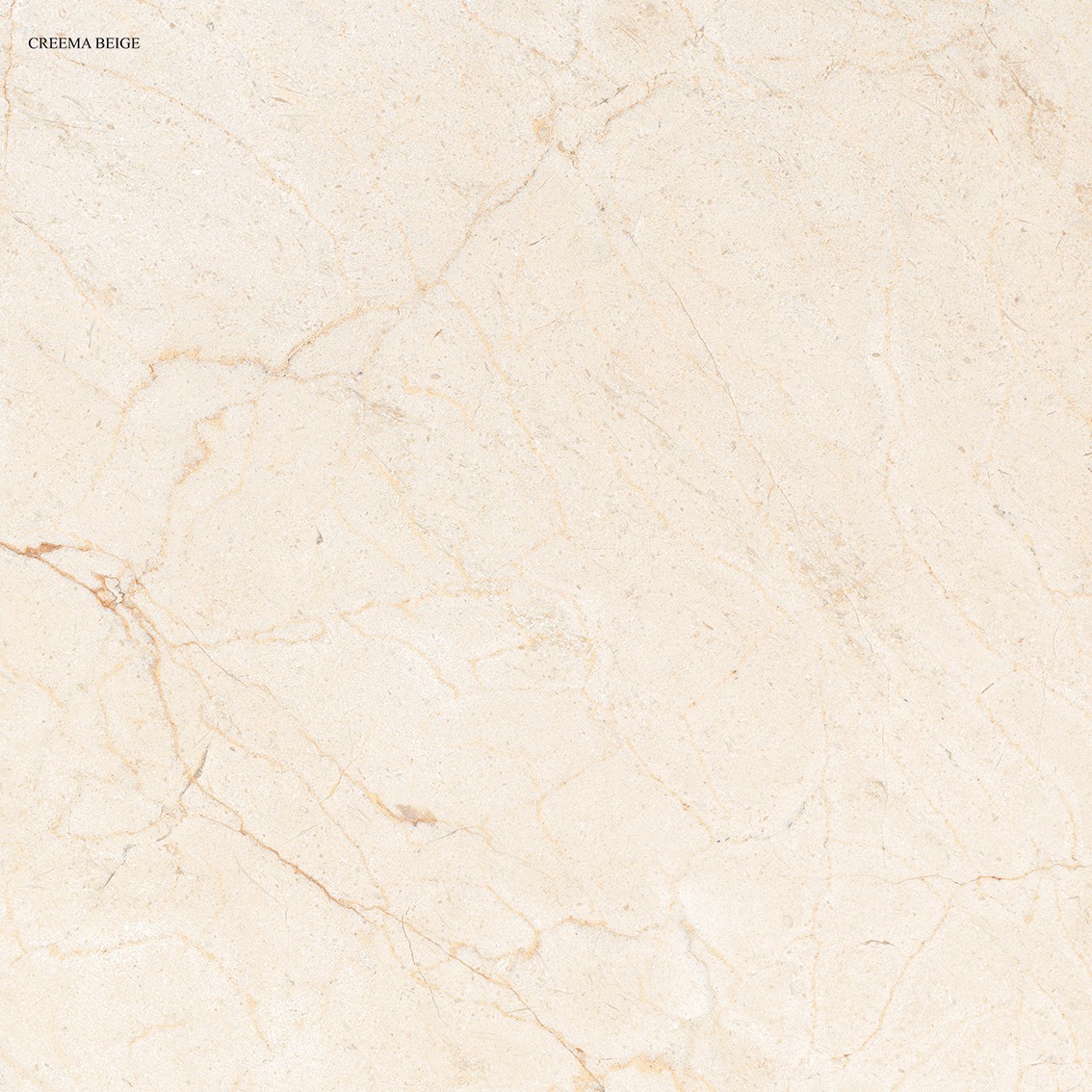 Multi Big Slab Vitrified Tiles