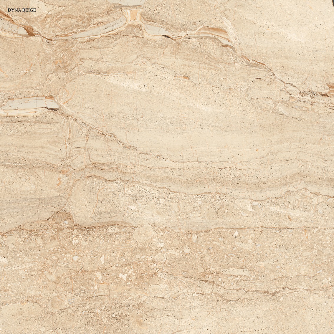 Multi Ceramic Porcelain Tiles