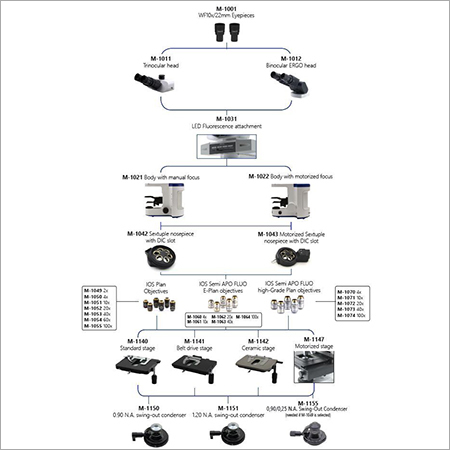 B1000 FL LED Laboratory Microscope