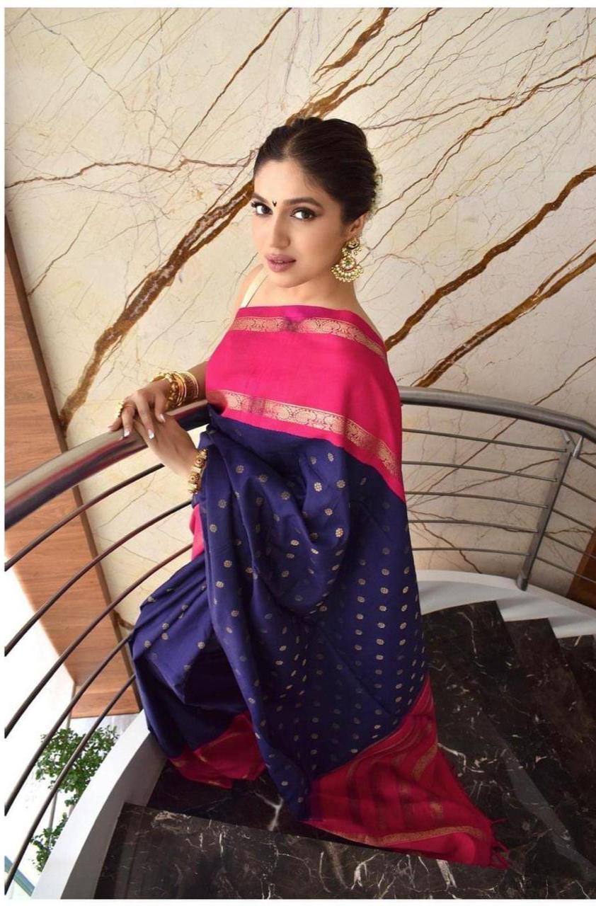 Multi Colour Ladies Pure Fancy Silk Saree