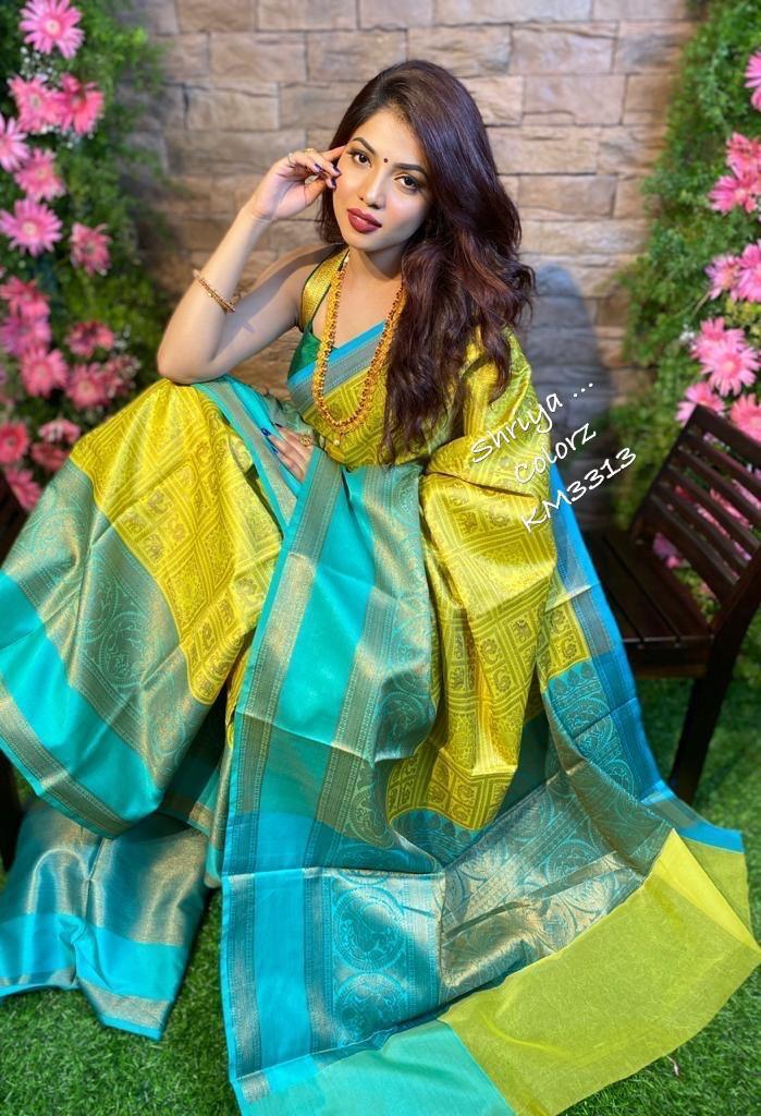 Multi Colour Ladies Bangalore Silk Saree