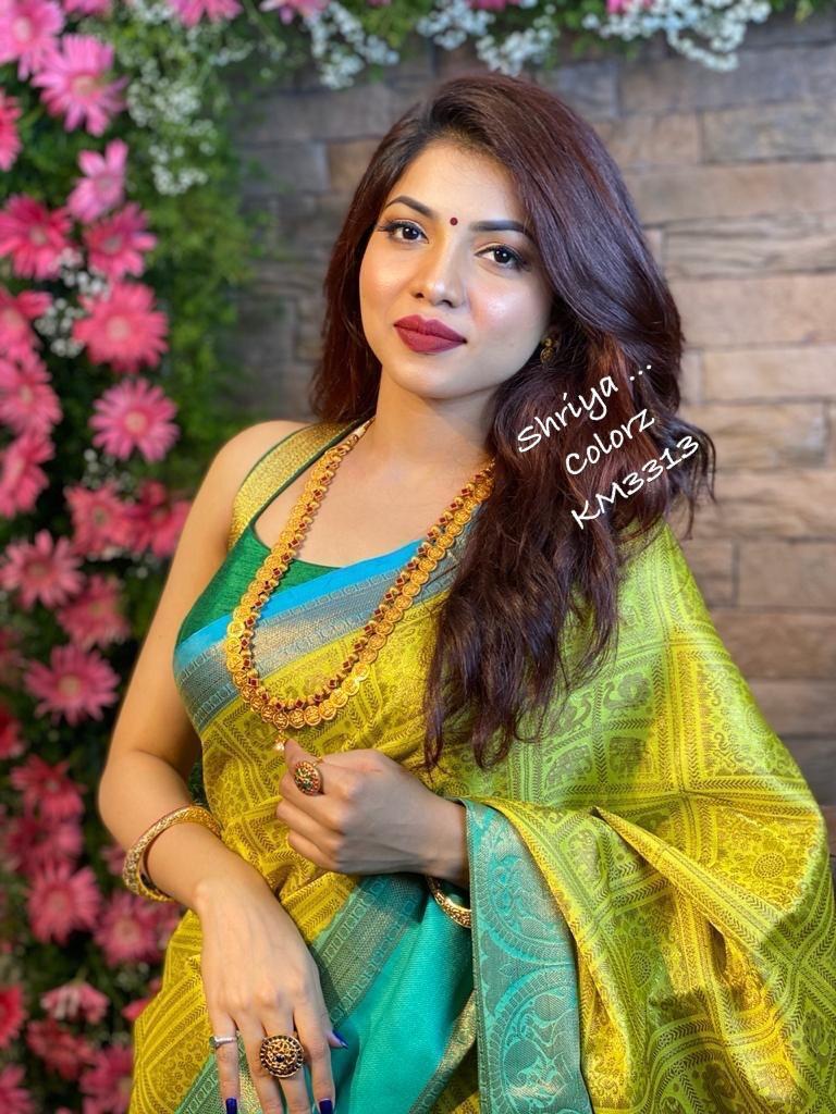 Multi Colour Ladies Bangalore Silk Saree
