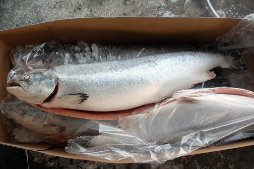 Frozen Atlantic Salmon Fish - 3.5-4.5kg Whole, Boneless, Headless | Block Shape, Salt Preservation, Shelf Life 24 Months, Frozen Style