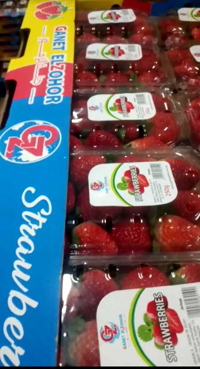 Fresh Strawberries - Whole, Oval-round Shape, Natural Red Color | Organic Cultivation, Sweet Taste, Non Glutinous, Newest Crop Maturity