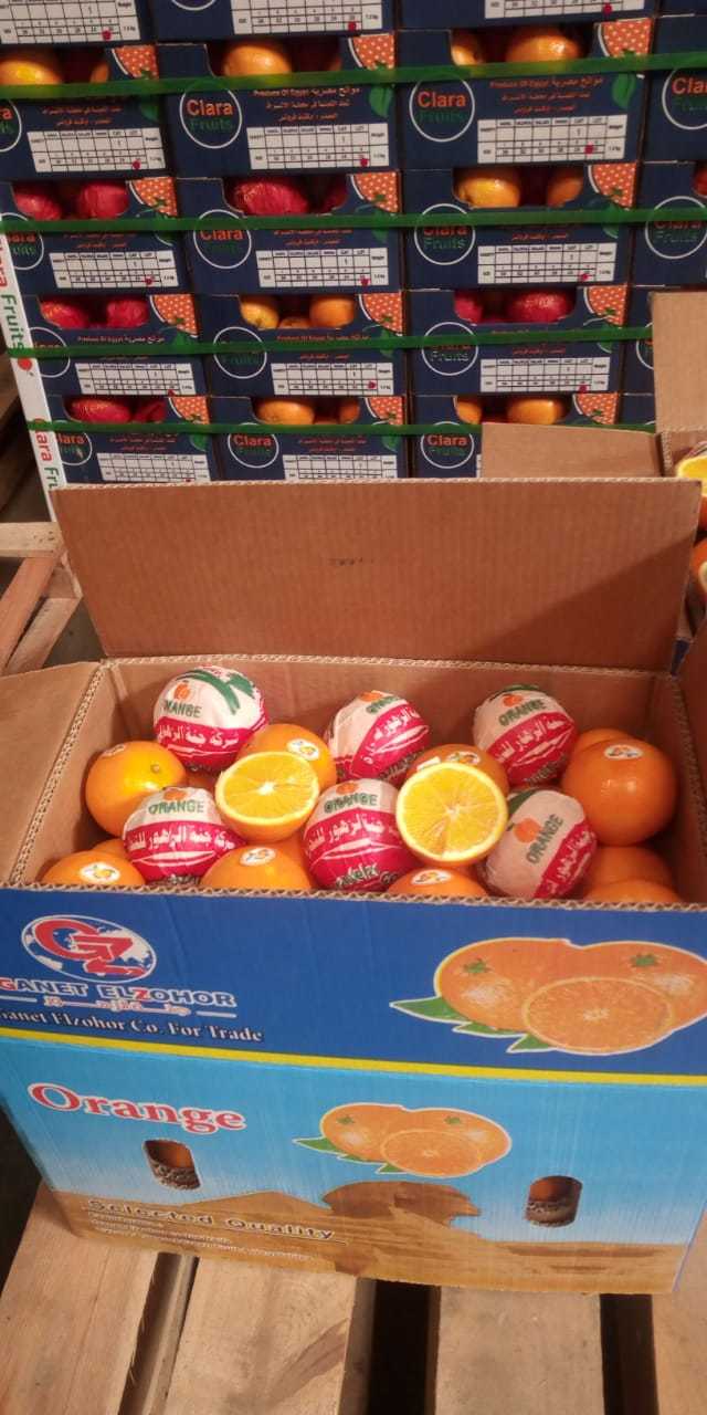 Neval Orange - Size 22mm To 113mm, Organic Citrus Fruit | Sweet Taste, Round Shape, Fresh Crop 2020, Non-glutinous, 15kg Carton