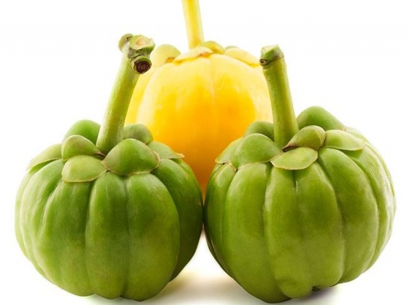 Raw Whole Natural Garcinia Cambogia Powder Dry Place