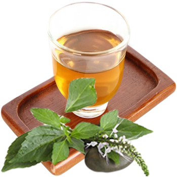Leaf Raw Natural Catnip Powder Dry Place