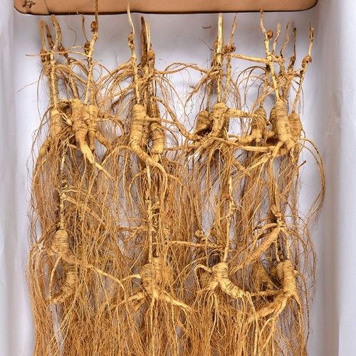 Dry Changbai Mountains Wild Ginseng Root Transplant Wild Ginseng