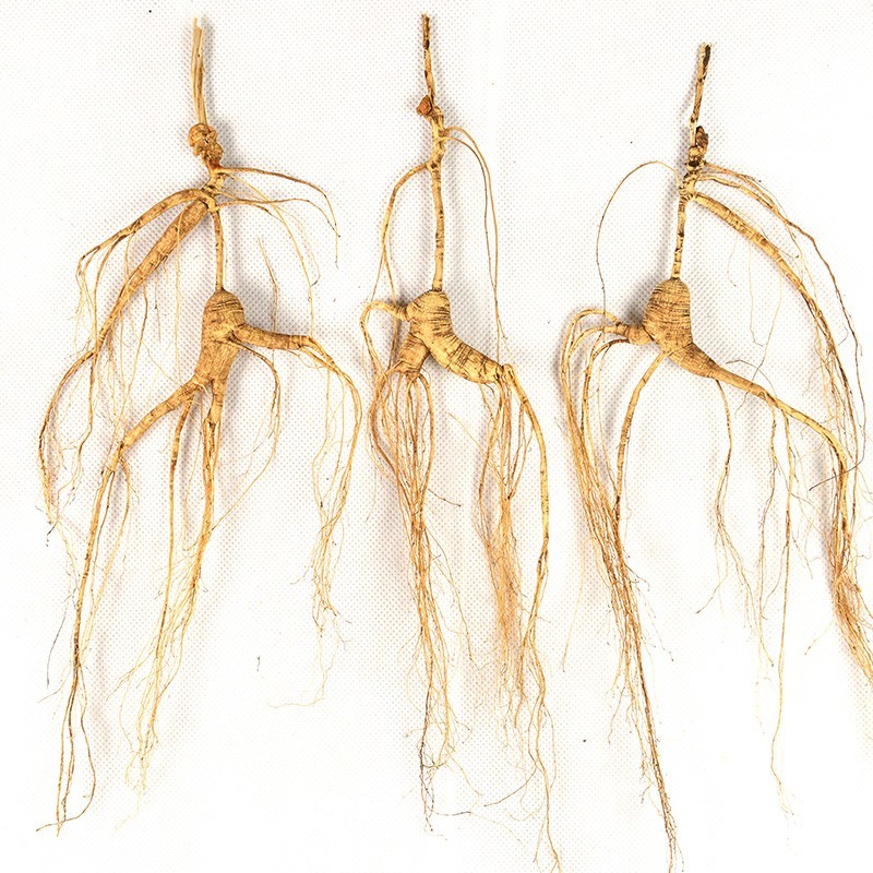 Dry Changbai Mountains Wild Ginseng Root Transplant Wild Ginseng
