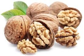 Natural Walnut Origin: Indian