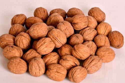 Natural Walnut Origin: Indian