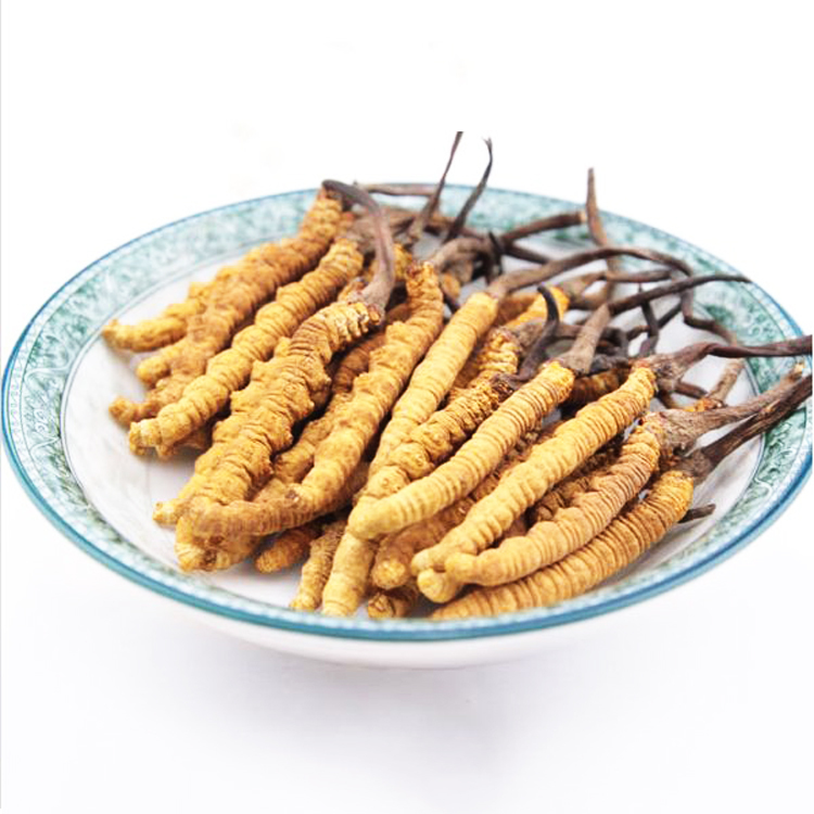 High Quality Dong Chong Xia Cao Aweto Price Cordyceps Sinensis