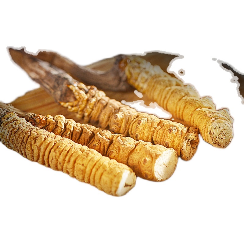 Dong Chong Xia Cao Pure Natural Cordyceps Sinensis For Immunity Enhancement
