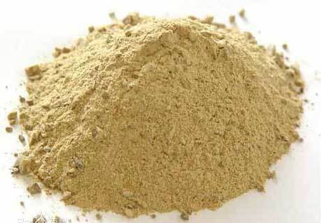 Refractories Basic Monolithics