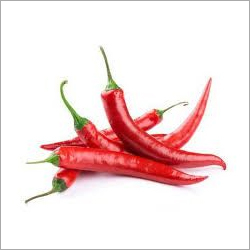 Fresh Red Chilli