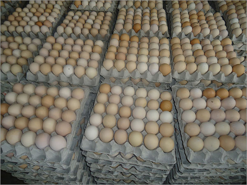 पल्प ट्रे