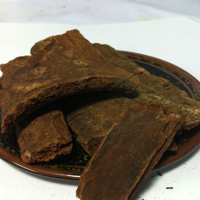 Natural Cinnamomum Bejolghota Powder Dry Place