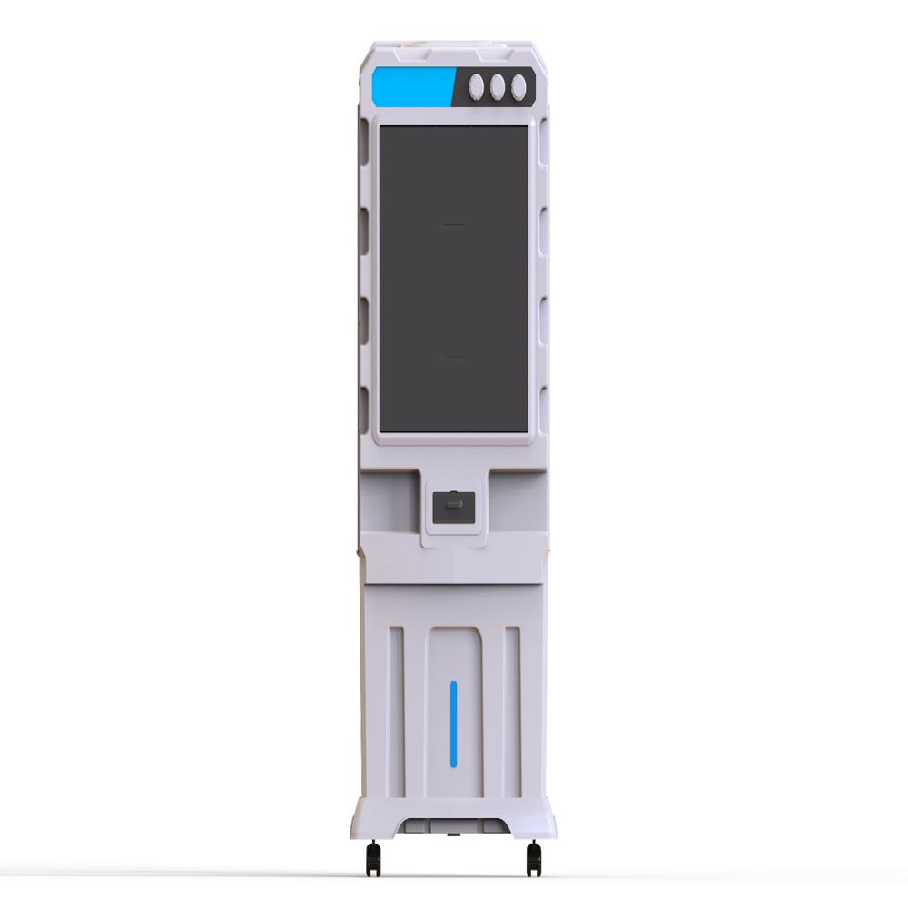 येलो ब्लू बेरी