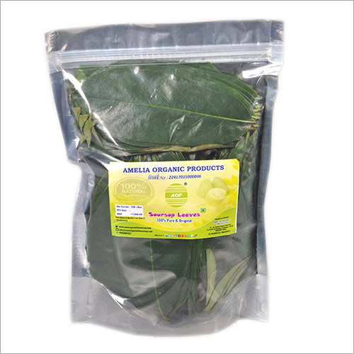 No Soursop Green Leaves - 200 Fresh Herbs | Suitable For All Age Groups, Antioxidant Properties, Store In Cool Environment